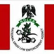 NDLEA Recruitment Past Questions and Answers